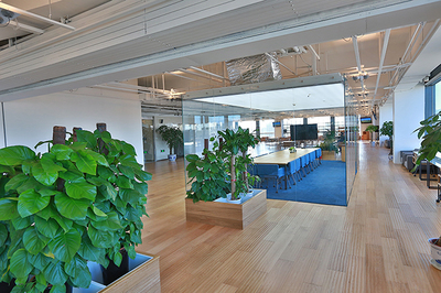 辦公室裝修設(shè)計(jì)從綠色環(huán)保開(kāi)始_裝修知識(shí)_北京天元世紀(jì)裝飾工程設(shè)計(jì)有限公司